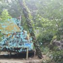 지리산청산별곡 | 지리산 청산별곡 캠핑장 (G-6는 어디에??)