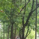 여성회관뒤 이미지