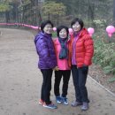 벽시계, 이미지