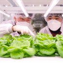 스마트도시농부협동조합 이미지