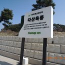 다산육종 이미지