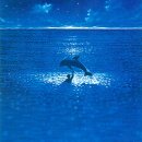 그랑블루 이미지