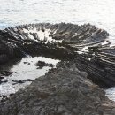 읍천1리 이미지