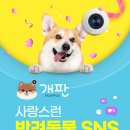 나우커뮤니티
