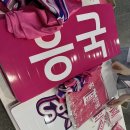 김연경 라스트댄스 여자배구 24-25 챔프전 5차전 결승전 마무리 승리 “흥국생명 VS 정관장” 직관