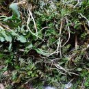 돌풍목장 이미지