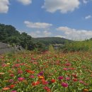 ㈜앞산마을학교 | 논산 가볼만한곳｜노성 유교마을 5곳 ｜ 배우는 집, 모시는 집, 사는 집 ｜ MANMIN 답사기 (논산·계룡...