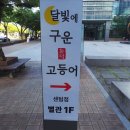 위즈원 | 달빛에구운고등어후기
