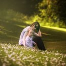 완산행정사사무소 이미지