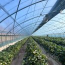 봄이네농장 이미지