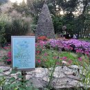 상소 유아숲체험원 이미지
