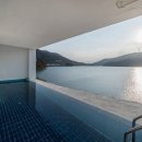 경북애견 이미지