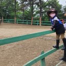 운악호스랜드 이미지