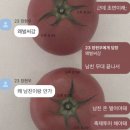 윤지농장 | 2026.05