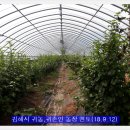 귀농농장 이미지