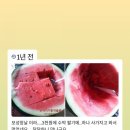 현대모자 네이버블로그