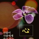 러운 이미지