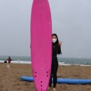 서프베이 이미지