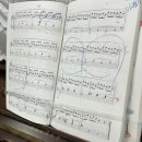 신월동231 이미지