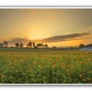 여명농장 이미지