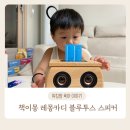 책이몽 레몽카디 블루투스 스피커 내돈내산 후기