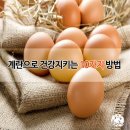 계란으로 건강지키는 10가지 방법★ 이미지