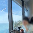 스카이코리아투어 | [부산 가볼만한 곳] 남구 오륙도 스카이워크 수선화 여행 후기(주차 포함)
