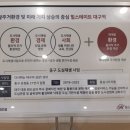 다시 뛰는 대구의 심장 성내 이미지