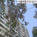 은행주공공인중개사사무소 이미지