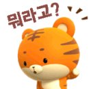 연세웃는아이치과 네이버블로그