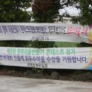 온평리-10 이미지