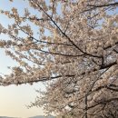 경기도 수원시 장안구 창훈로80번길 이미지