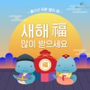 드림분당예치과병원 네이버블로그