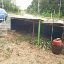 흥서농장 이미지