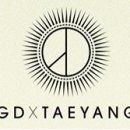 지디M