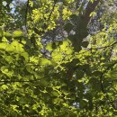 과천-과천-과천11호 | 5월 1주차 일기 ; 관악산 등산과 잠실야구장 혼직