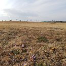 신촌목장 이미지