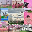부산 근교 아이랑 가볼만한곳 핑크모래 노리터349 가을시즌