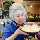 방랑객 이미지