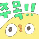 청년배관케어하수구막힘싱크대막힘누수탐지 이미지