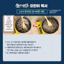 소고기잔치 이미지