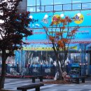 어야어야 이미지