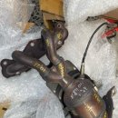 영카센타 이미지