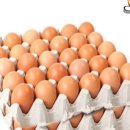 신선한농장 이미지