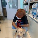 행복드림 동물병원 이미지