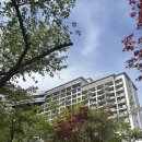 푸른나무수학교습소 | [경주여행] 소노캄 경주, 디럭스 스위트 A 뷰프리 솔직 후기(보문단지 숙소)