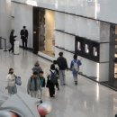 계륵동길 동아일보