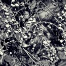 다호마을 이미지