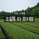 문워크 | 제주오설록티뮤지엄, 제주 여행 필수 코스 티 향기 가득한 힐링 공간