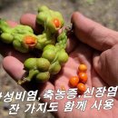 [목련, 신이] 만성비염, 축농증, 알레르기비염 한 방에 잡는다. 이미지